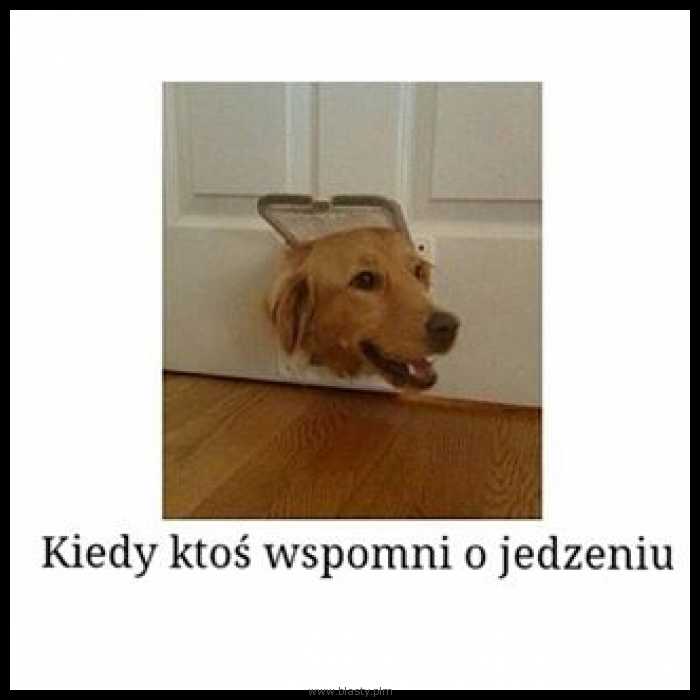 Kiedy ktoś wspomni o jedźeniu