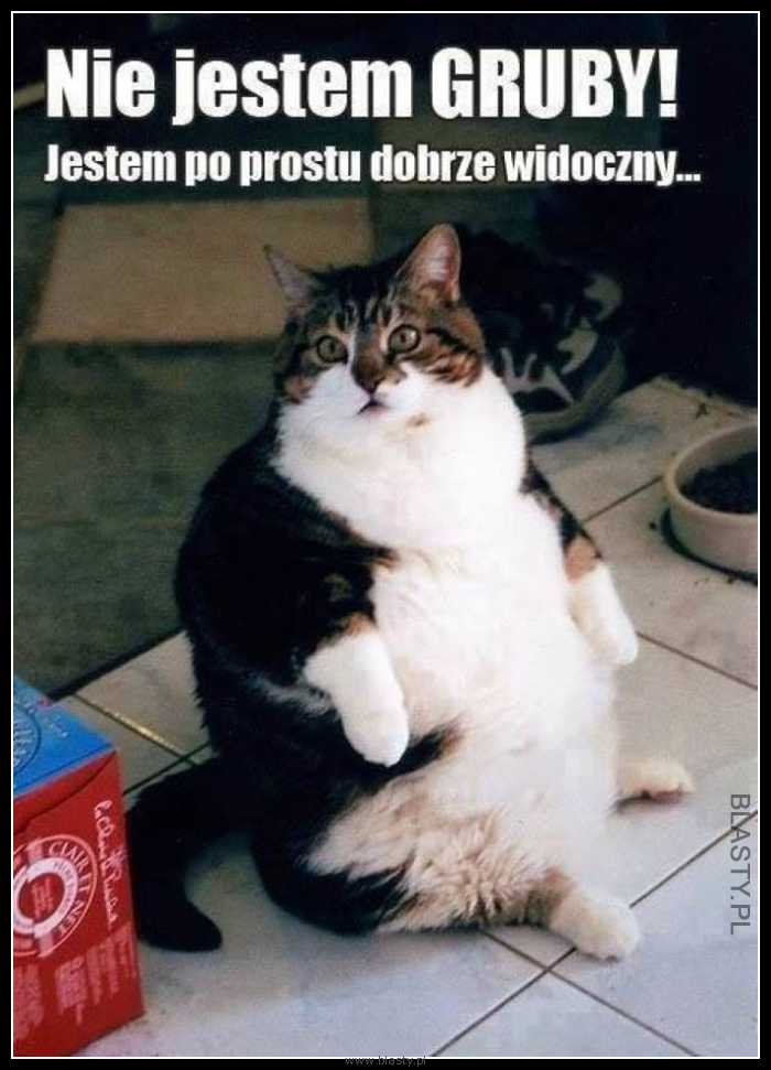 Nie jestem gruby - jestem po prostu dobrze widoczny