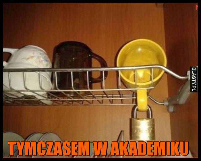 Tymczasem w akademiku