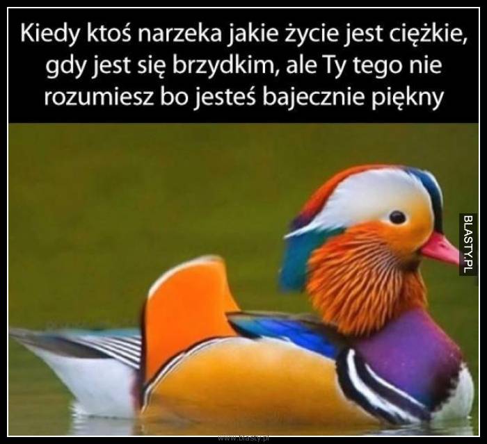 Kiedy ktoś narzeka jakie życie jest ciężkie, gdy jesteś brzydki ale Ty tego nie rozumiesz bo jesteś bajecznie piękny