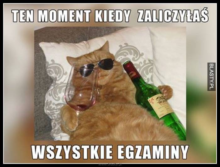 Ten moment kiedy zaliczyłaś wszystkie egzaminy