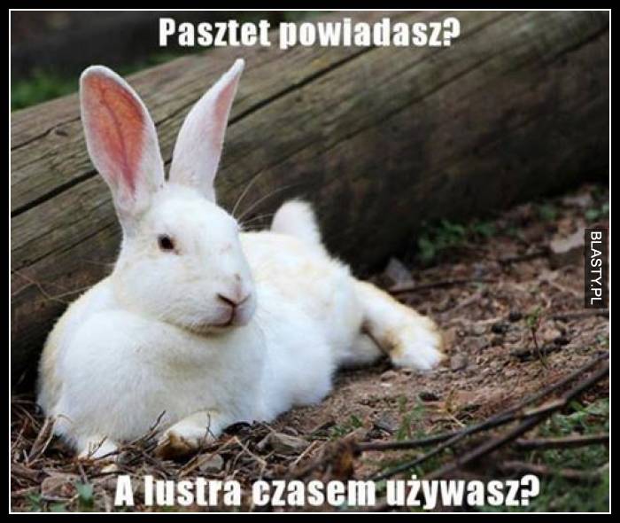 Pasztet powiadasz ? a lustra czasem używasz