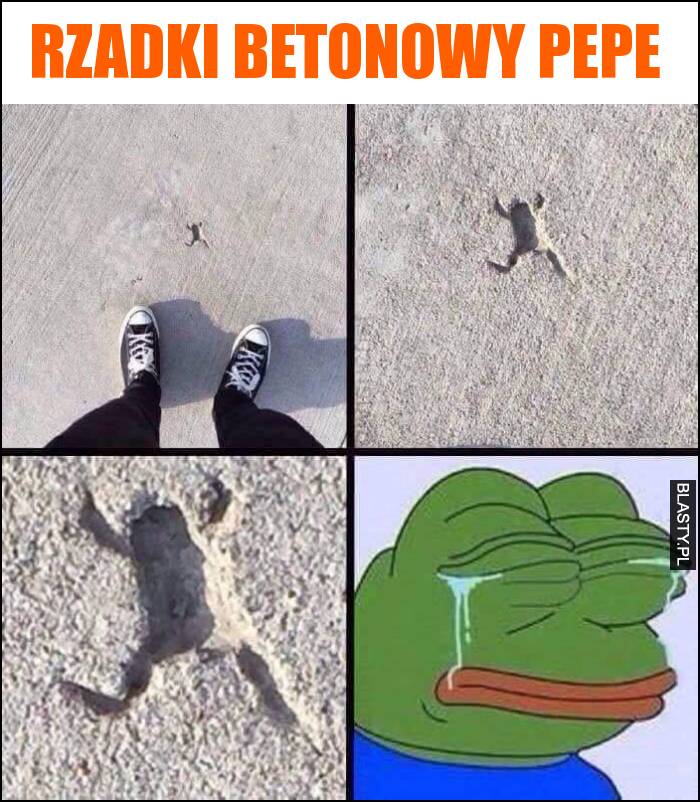 Rzadki betonowy pepe