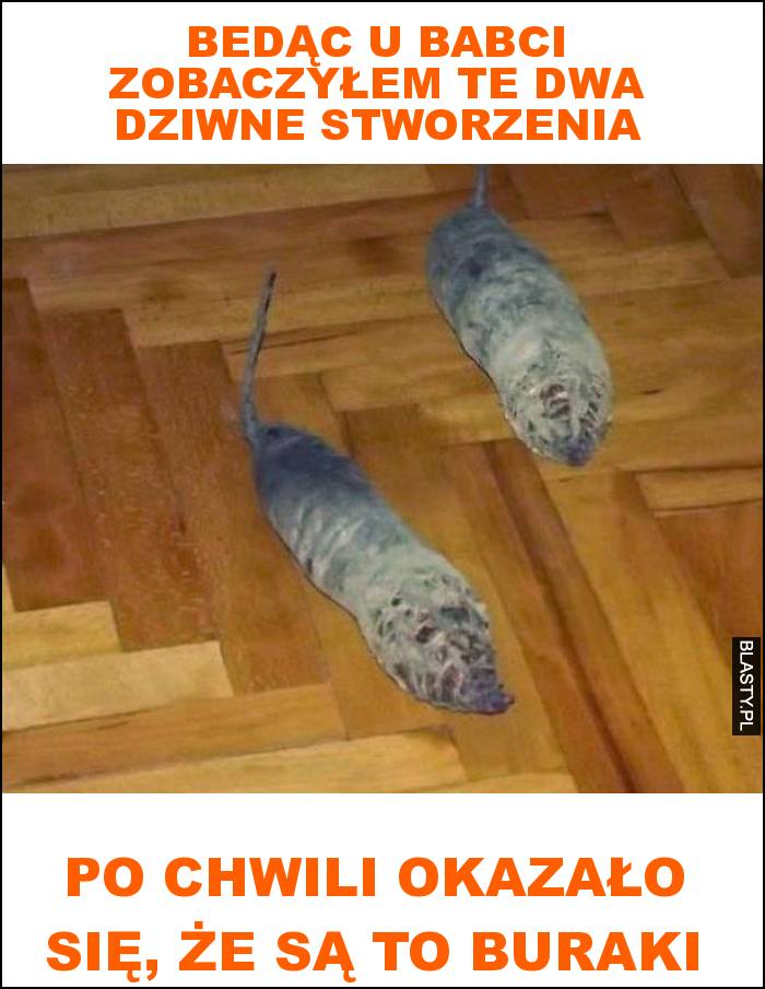 Bedąc u babci zobaczyłem te dwa dziwne stworzenia