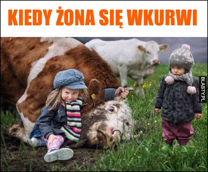 kiedy żona się wkurwi