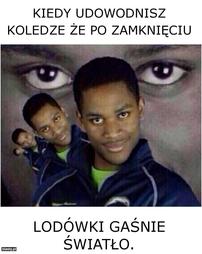 lodowka