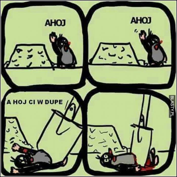 ahoj