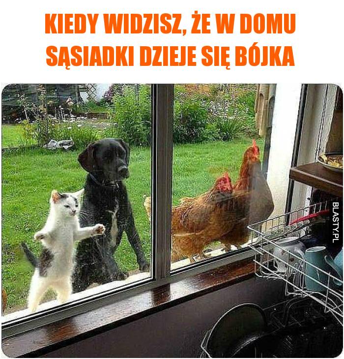 bójka w domu sąsiadki