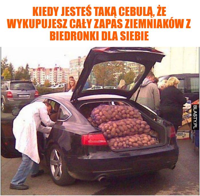 cebula wszytko dla siebie