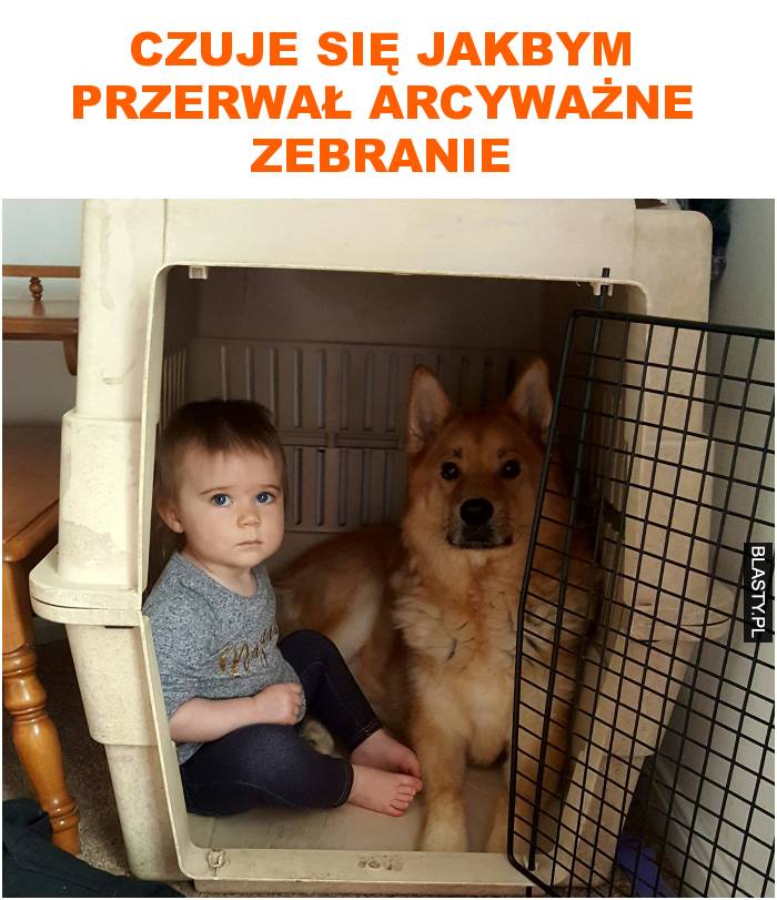 czuje się jakbym przerwał arcyważne zebranie