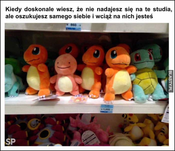 Kiedy doskonale wiesz, że nie nadajesz sie na te studia