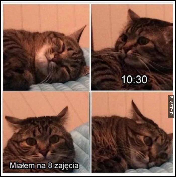 Miałem na 8 zajęcia