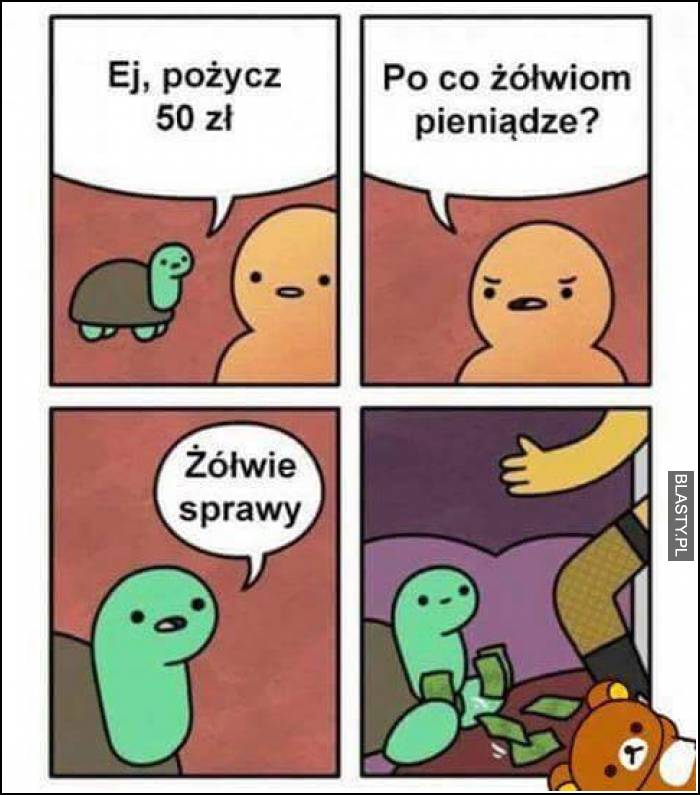 Żółw