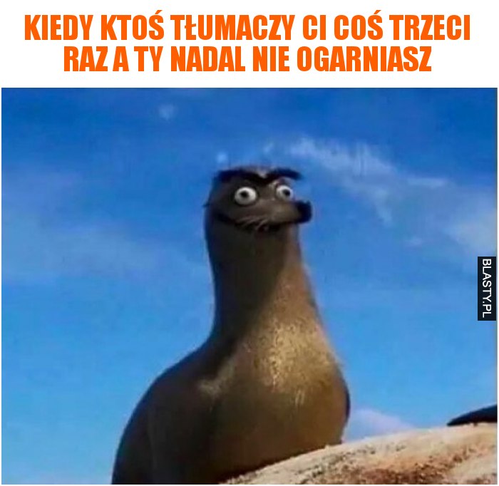 Kiedy ktoś tłumaczy Ci coś trzeci raz