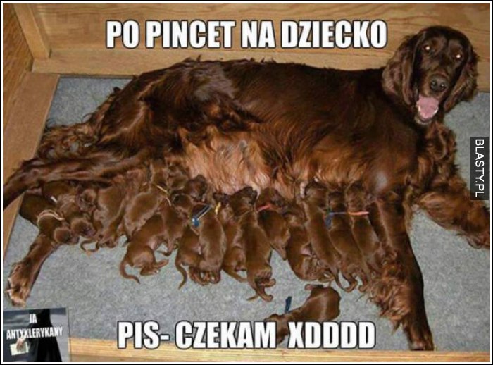 po pincet na dziecko