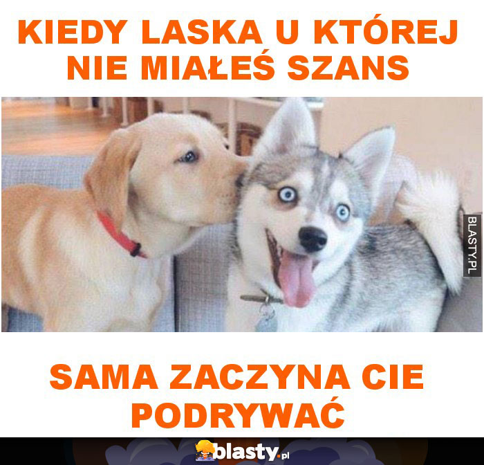 Kiedy laska u której nie miałeś szans sama zaczyna cie podrywać