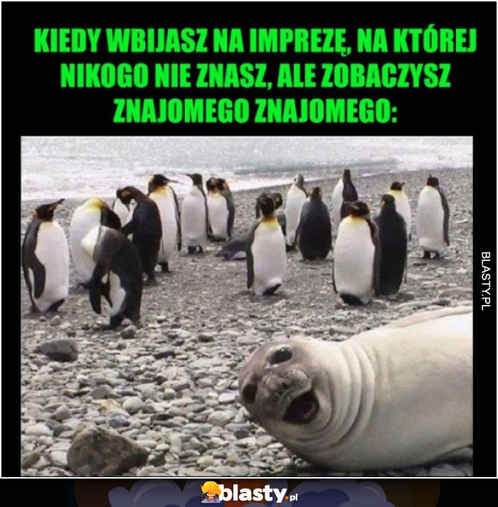 Kiedy wbijasz na imprezę