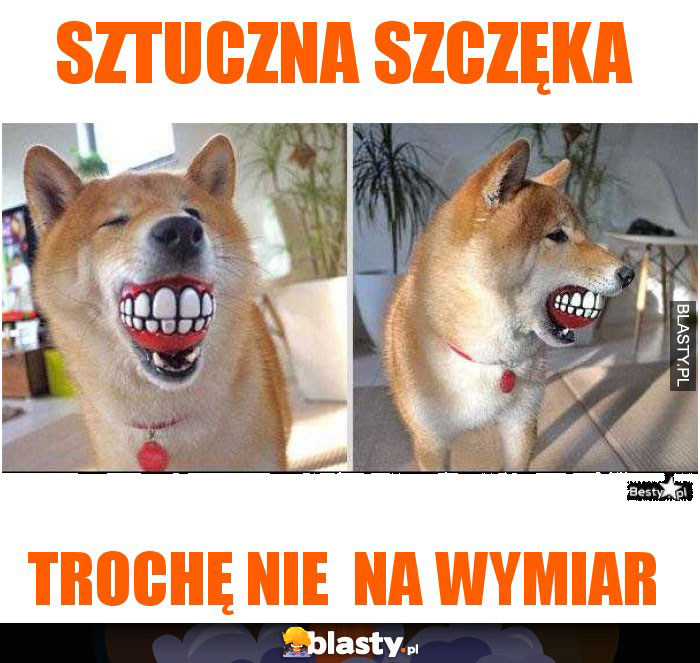 sztuczna szczęka