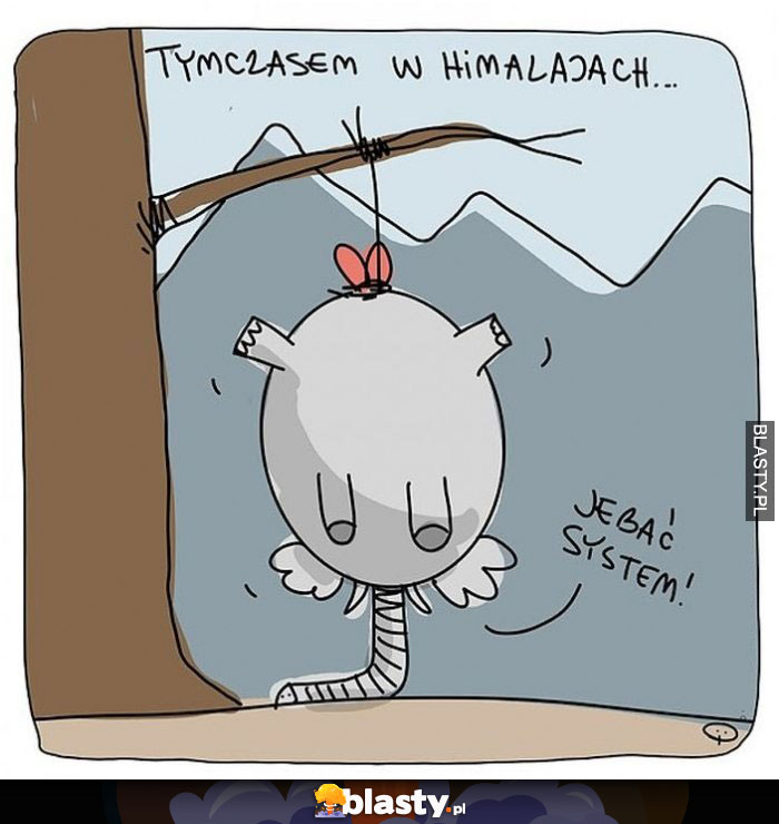 Tymczasem w Himalajach...