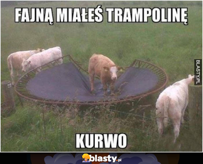 Fajną miałeś trampoline
