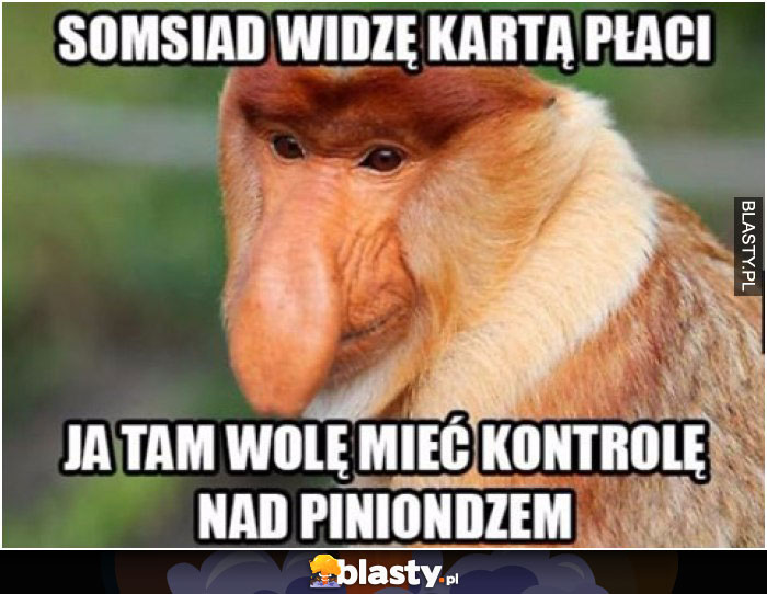 kontrola nad piniondzem