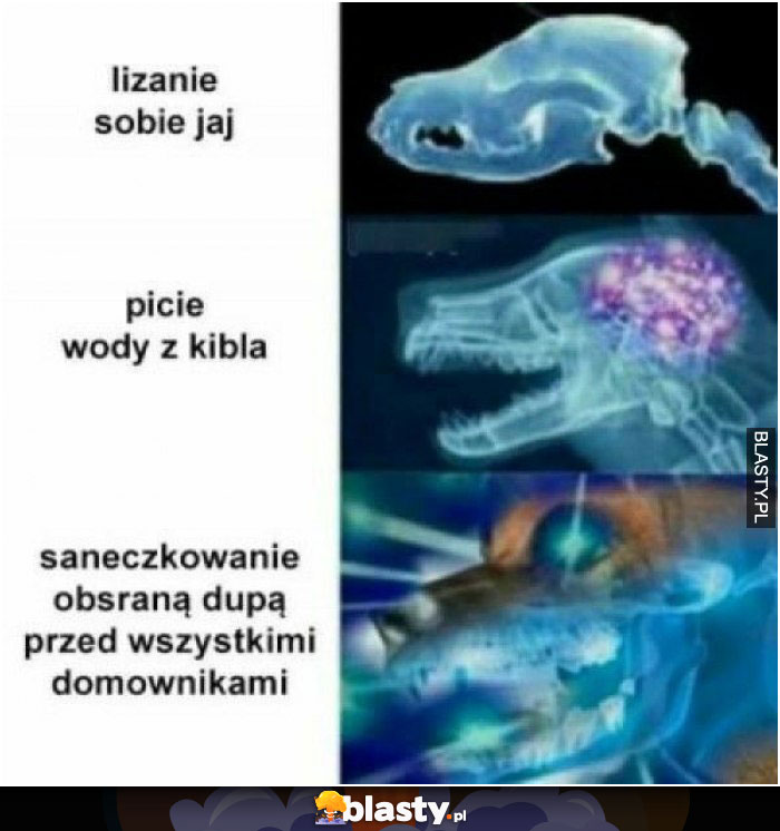 saneczkowanie obsraną dupą