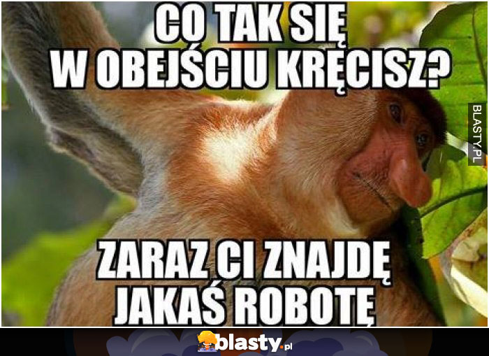 zaraz znajdę jakąś robotę