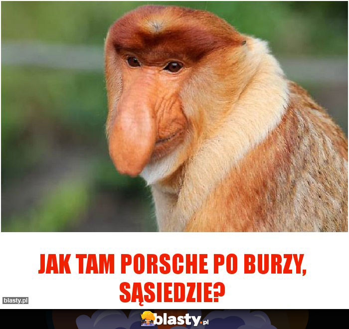 Jak tam Porsche po burzy, sąsiedzie?