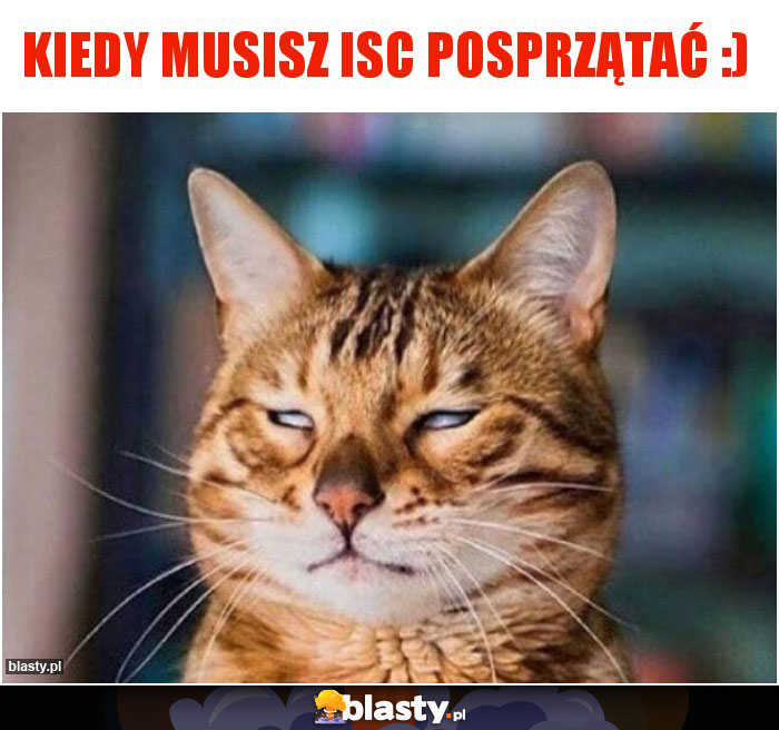 Kiedy musisz isc posprzątać :)