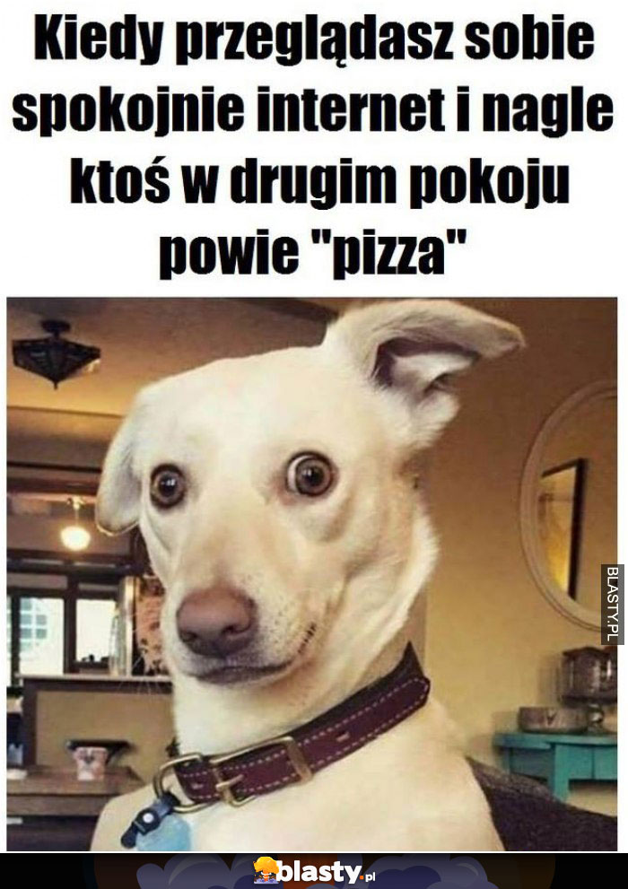 Kiedy przeglądasz sobie w spokoju internet