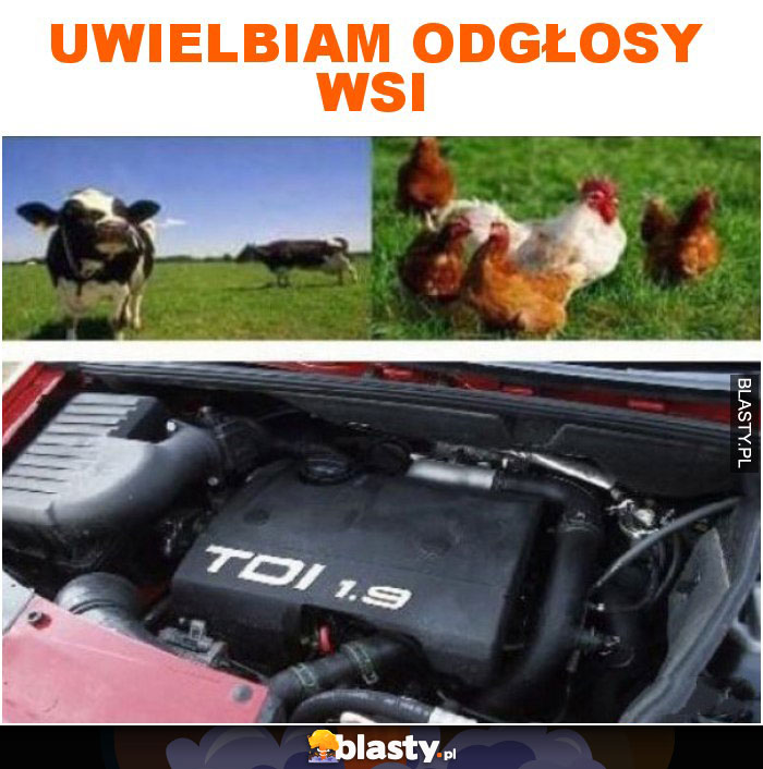 Uwielbiam odgłosy wsi