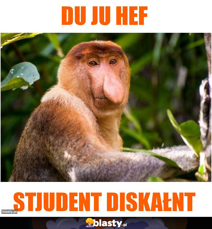 Du ju hef