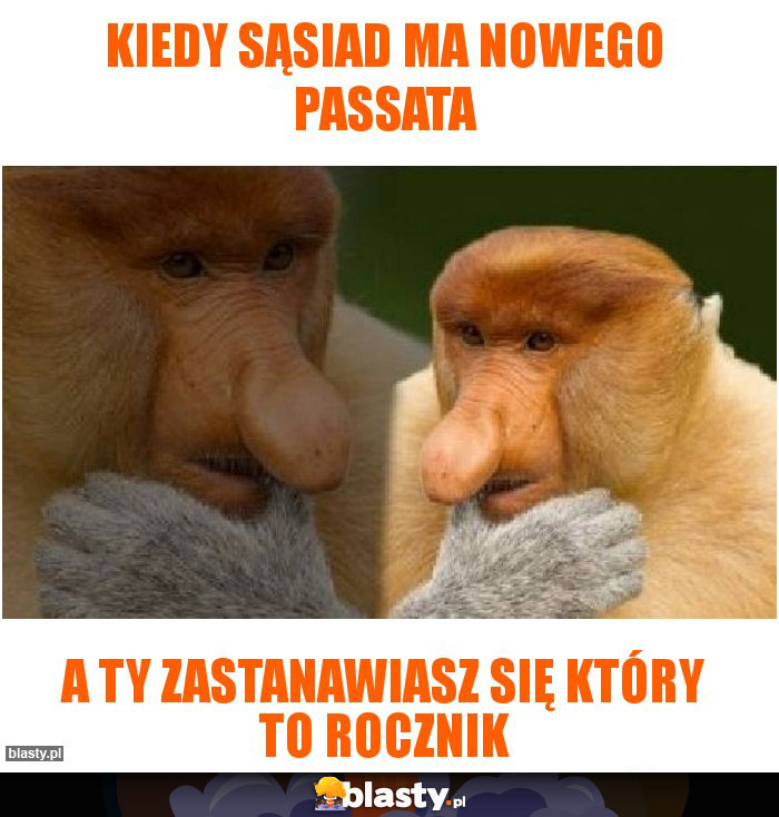 Kiedy sąsiad ma nowego passata