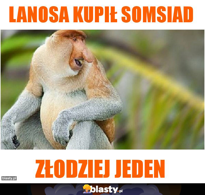 Lanosa kupił somsiad