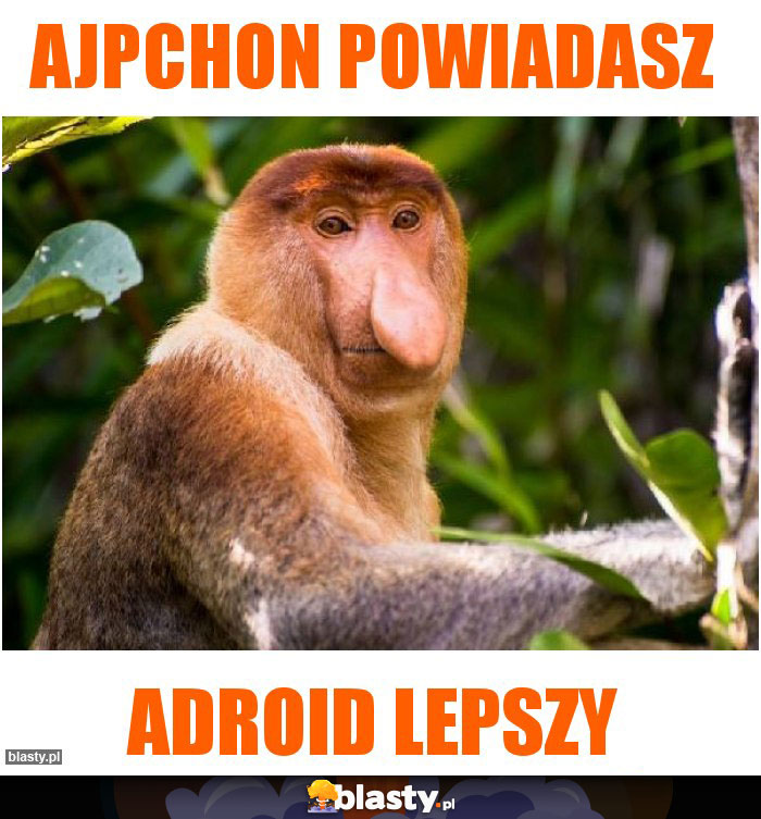 Ajpchon powiadasz