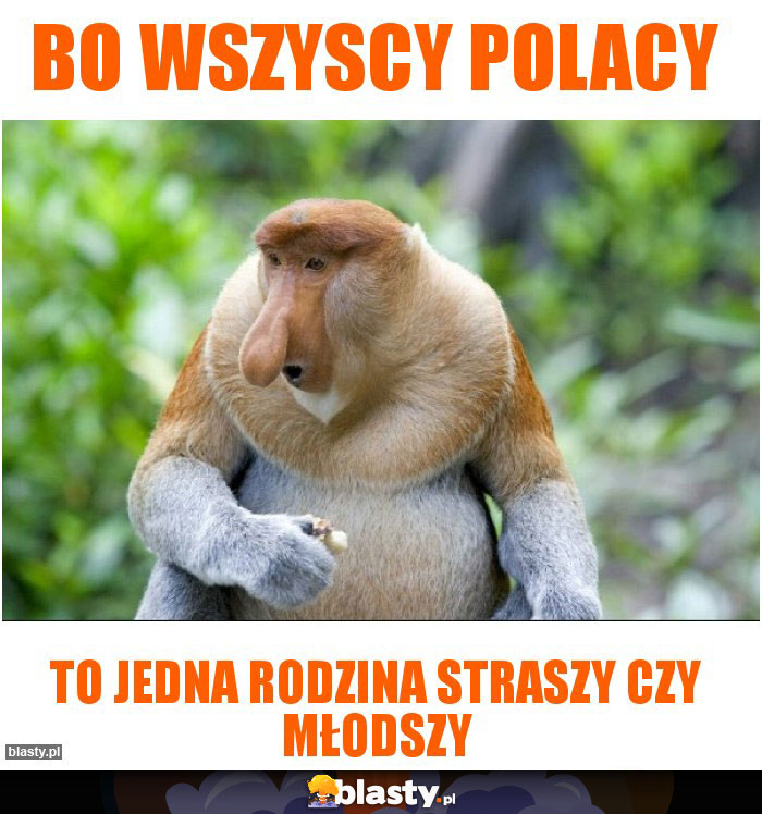 Bo wszyscy polacy