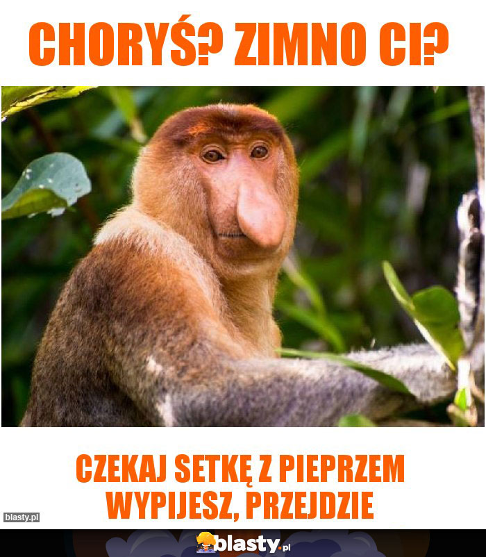 Choryś? Zimno Ci?