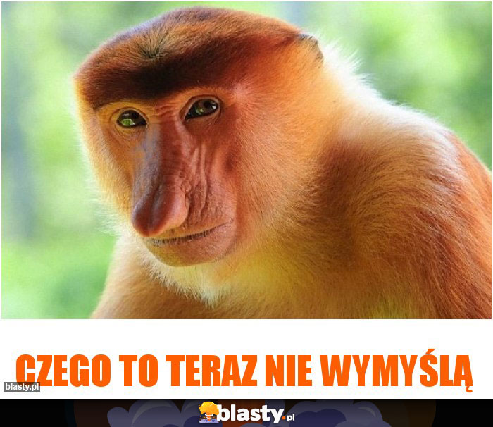 Czego to teraz nie wymyślą