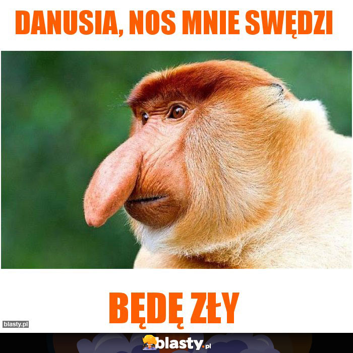 Danusia, nos mnie swędzi