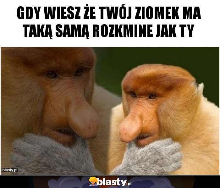 Gdy wiesz że twój ziomek ma taką samą rozkmine jak ty