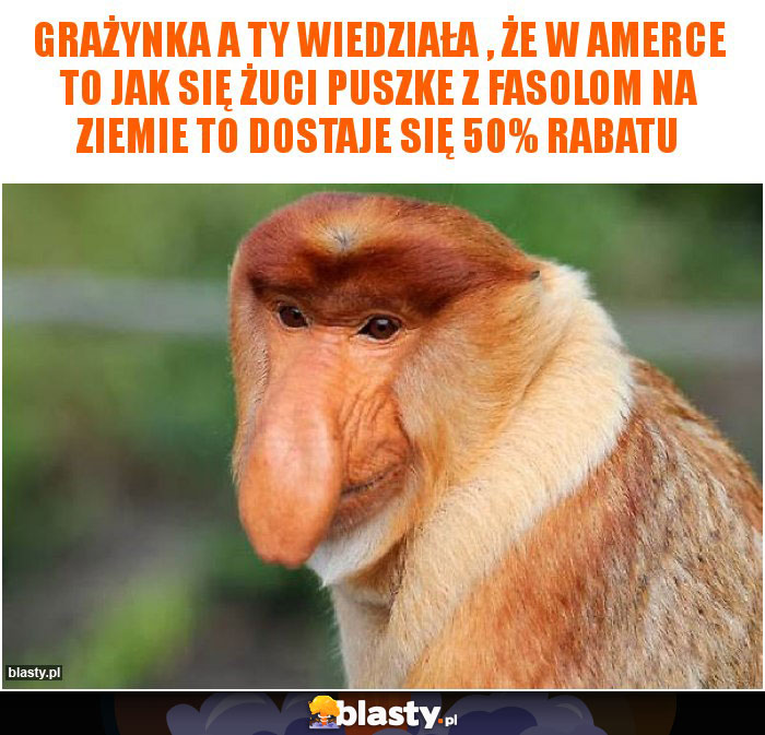 Grażynka a ty wiedziała , że w Amerce to jak się żuci puszke z fasolom na ziemie to dostaje się 50% rabatu