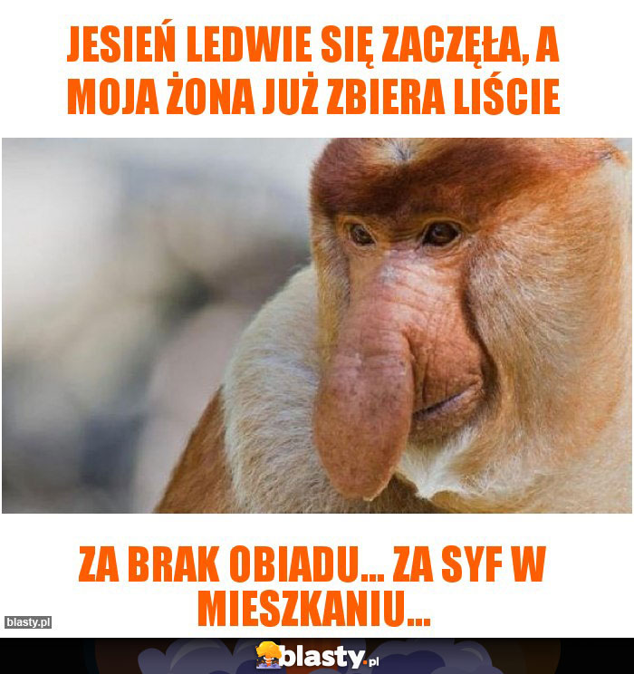 Jesień ledwie się zaczęła, a moja żona już zbiera liście