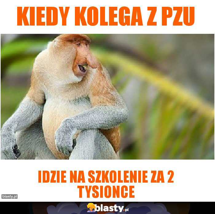 Kiedy kolega z PZU