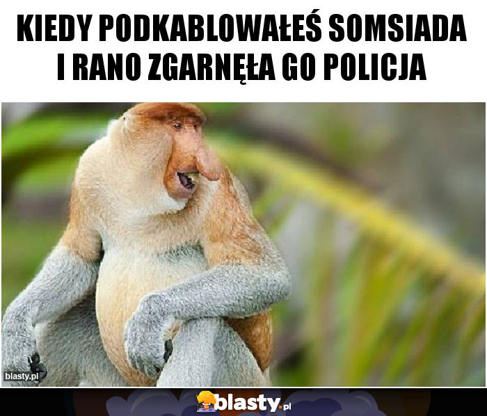 Kiedy podkablowałeś somsiada i rano zgarnęła go policja