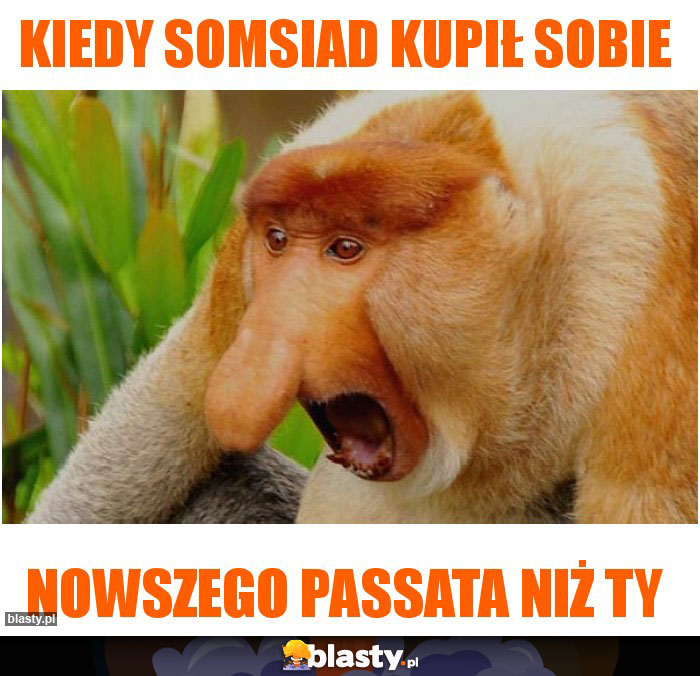 Kiedy somsiad kupił sobie