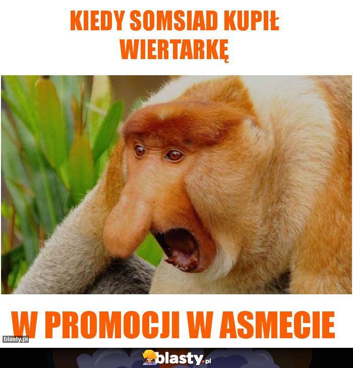 KIEDY SOMSIAD KUPIŁ WIERTARKĘ