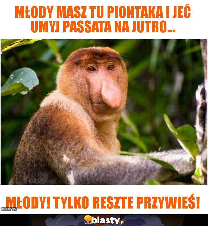 Młody masz tu piontaka i jeć umyj passata na jutro...