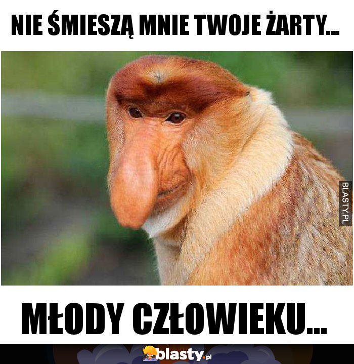 Nie śmieszą mnie Twoje żarty...