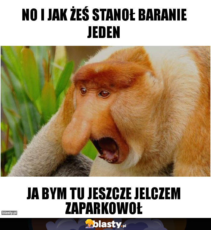 No i jak żeś stanoł baranie jeden