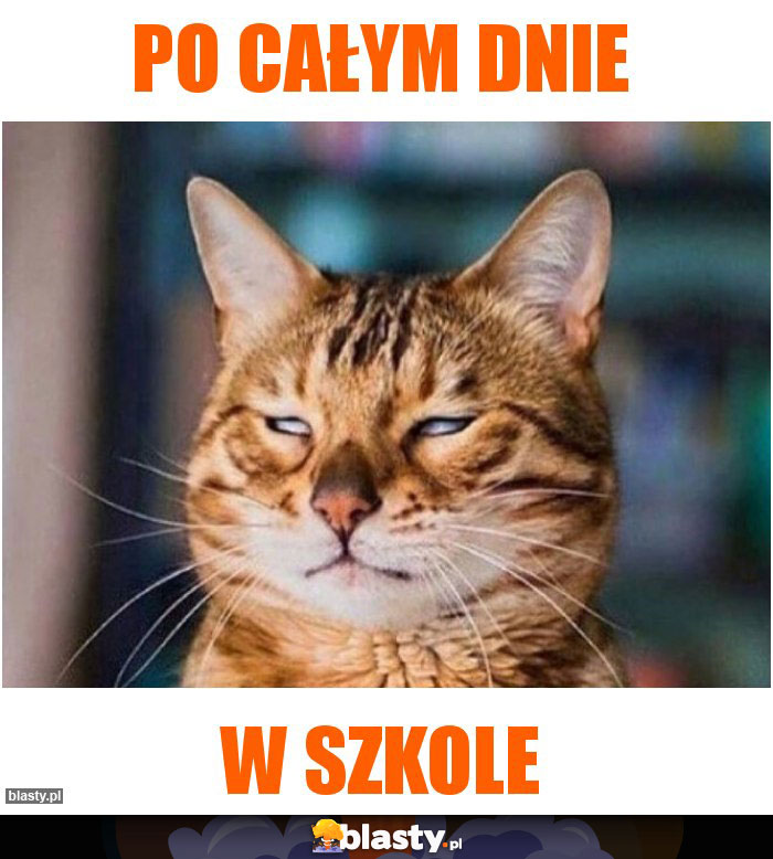 Po całym dnie